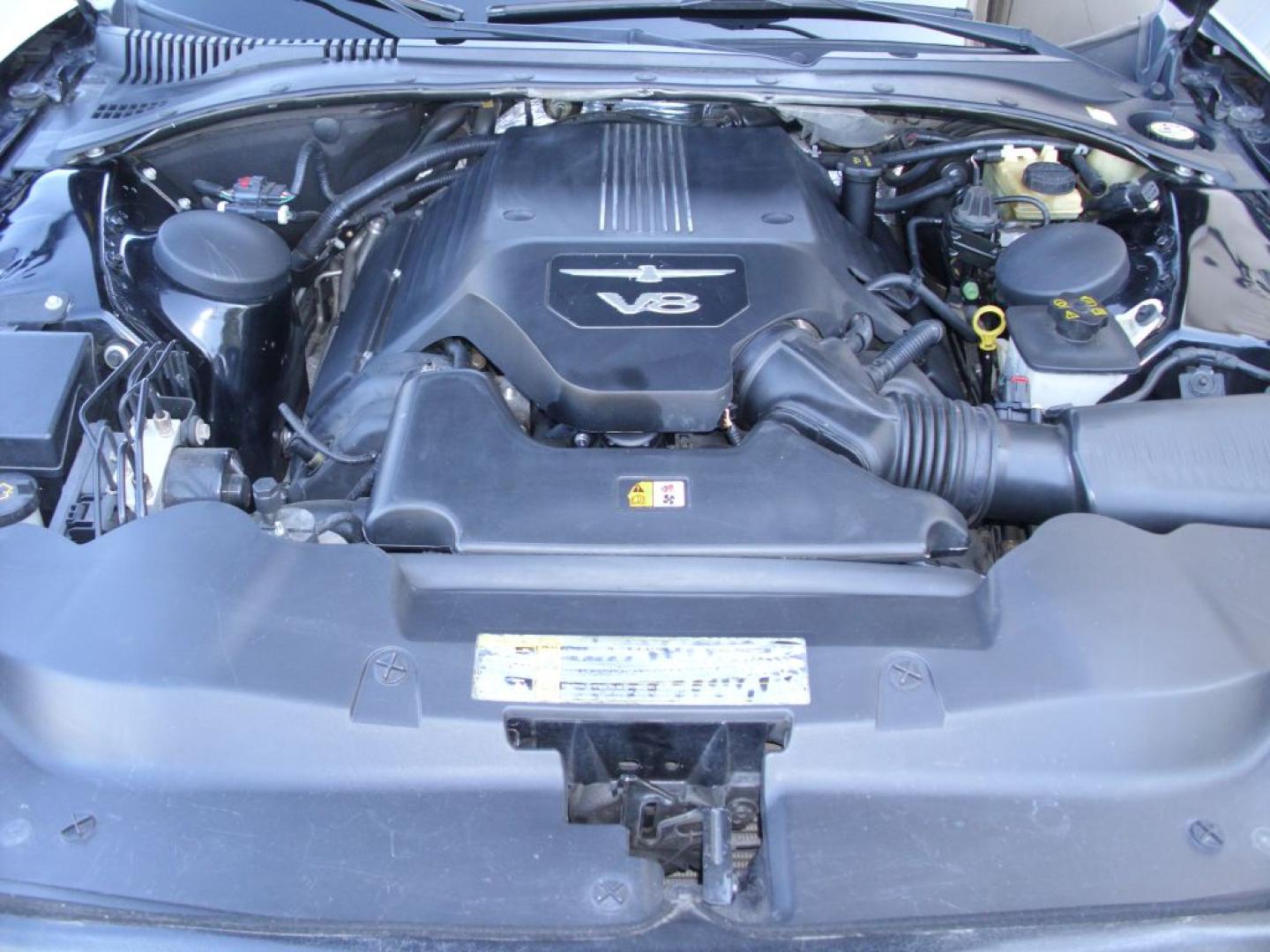 2004 BLACK FORD THUNDERBIRD (1FAHP60A84Y) with an 3.9L engine, Automatic transmission, located at 2215 Harry Wurzbach Rd , San Antonio, TX, 78209, (208) 269-7240, 29.491415, -98.432098- Photo#26