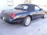 2004 BLACK FORD THUNDERBIRD (1FAHP60A84Y) with an 3.9L engine, Automatic transmission, located at 12019 San Pedro Avenue, San Antonio, TX, 78216, (210) 494-5895, 29.550915, -98.491142 - We provide financing options through various third-party Credit Unions and Auto Finance Companies, including RBFCU, USAA, SSFCU, Pen Fed, Navy Fed, Credit Human Credit Union of Texas, and most other credit unions. We also work with major banks such as Capital One and Broadway Bank. Payment methods a - Photo#8