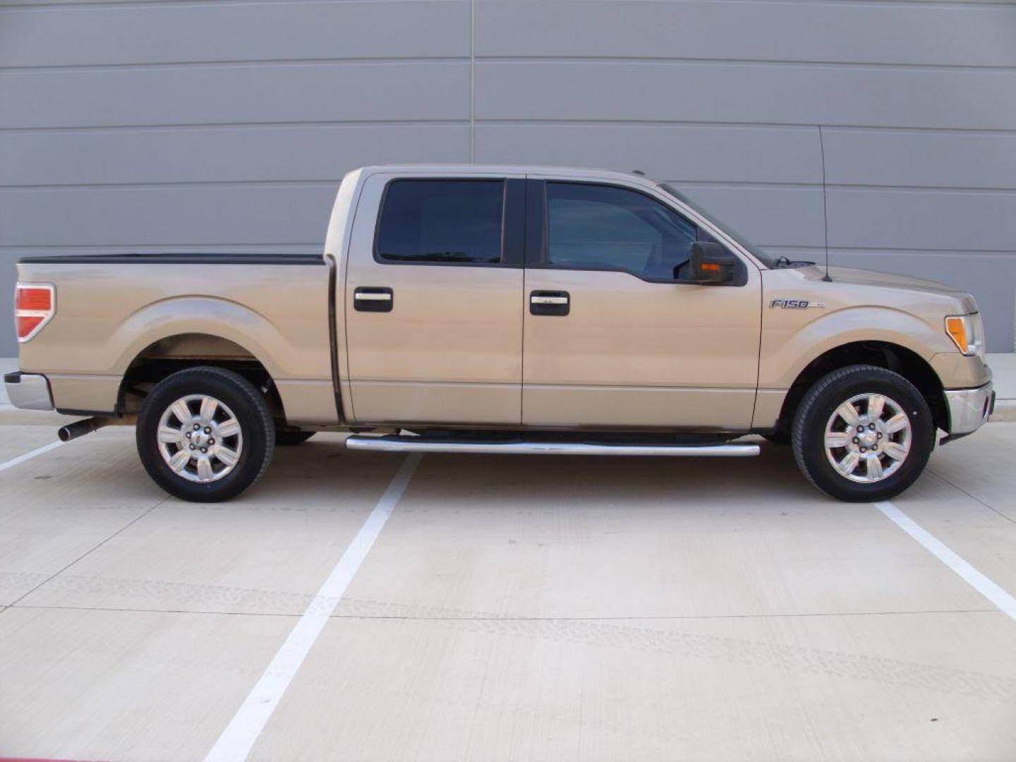 2011 GOLD FORD F150 SUPERCREW (1FTFW1CF5BF) with an 5.0L engine, Automatic transmission, located at 12019 San Pedro Avenue, San Antonio, TX, 78216, (208) 269-7240, 29.550915, -98.491142 - ONE OWNER; BLUETOOTH TECHNOLOGY; ALLOY WHEELS; Cloth Seats; Running Boards; Air Conditioning; Power Windows; Power Locks; Power Steering; Power Mirrors; Tilt Wheel; AM/FM; AM/FM CD/MP3; Satellite; Sentry Key; Keyless Entry; Alarm; Available; Dual Front Airbags; Side Airbags; Head Airbags; Rear Head - Photo#0