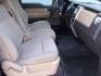 2011 GOLD FORD F150 SUPERCREW (1FTFW1CF5BF) with an 5.0L engine, Automatic transmission, located at 12019 San Pedro Avenue, San Antonio, TX, 78216, (208) 269-7240, 29.550915, -98.491142 - ONE OWNER; BLUETOOTH TECHNOLOGY; ALLOY WHEELS; Cloth Seats; Running Boards; Air Conditioning; Power Windows; Power Locks; Power Steering; Power Mirrors; Tilt Wheel; AM/FM; AM/FM CD/MP3; Satellite; Sentry Key; Keyless Entry; Alarm; Available; Dual Front Airbags; Side Airbags; Head Airbags; Rear Head - Photo#11