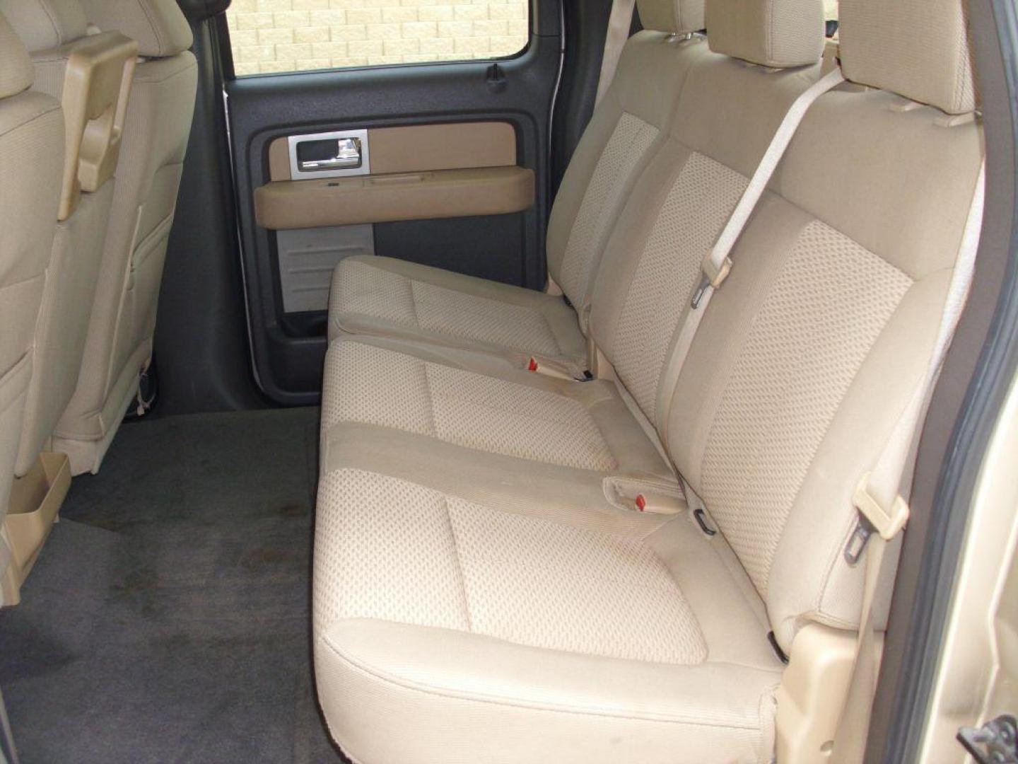 2011 GOLD FORD F150 SUPERCREW (1FTFW1CF5BF) with an 5.0L engine, Automatic transmission, located at 12019 San Pedro Avenue, San Antonio, TX, 78216, (208) 269-7240, 29.550915, -98.491142 - ONE OWNER; BLUETOOTH TECHNOLOGY; ALLOY WHEELS; Cloth Seats; Running Boards; Air Conditioning; Power Windows; Power Locks; Power Steering; Power Mirrors; Tilt Wheel; AM/FM; AM/FM CD/MP3; Satellite; Sentry Key; Keyless Entry; Alarm; Available; Dual Front Airbags; Side Airbags; Head Airbags; Rear Head - Photo#12