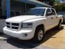 2009 WHITE DODGE DAKOTA SXT (1D3HW38P39S) with an 4.7L engine, Automatic transmission, located at 2215 Harry Wurzbach Rd , San Antonio, TX, 78209, (208) 269-7240, 29.491415, -98.432098 - 4X4- LOW MILEAGE WITH ALLOY WHEELS! Cloth Seats, Tow Hitch, Air Conditioning; Power Windows; Power Locks; Power Steering; Tilt Wheel; AM/FM CD/MP3; Satellite; Active keyless entry; Available; Dual Air Bags Front and Sides; Active Belts; Crew Cab; Regular Bed; All Wheel ABS; 1/2 Ton. We provide - Photo#2