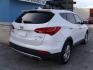 2014 WHITE HYUNDAI SANTA FE SPORT (5XYZUDLA7EG) with an 2.0L engine, Automatic transmission, located at 2215 Harry Wurzbach Rd , San Antonio, TX, 78209, (208) 269-7240, 29.491415, -98.432098 - 4 WHEEL DRIVE WITH ALLOY WHEELS! TURBO CHARGED ENGINE!! Blind Spot Monitor; Leather Seats; Bluetooth Technology; Front Seat Heaters; Full Roof Rack; Infinity Sound System; Navigation System; Rear Defroster; Rear Sunshade; Rear View Camera; Air Conditioning; Power Windows; Power Locks; Power Steering - Photo#4