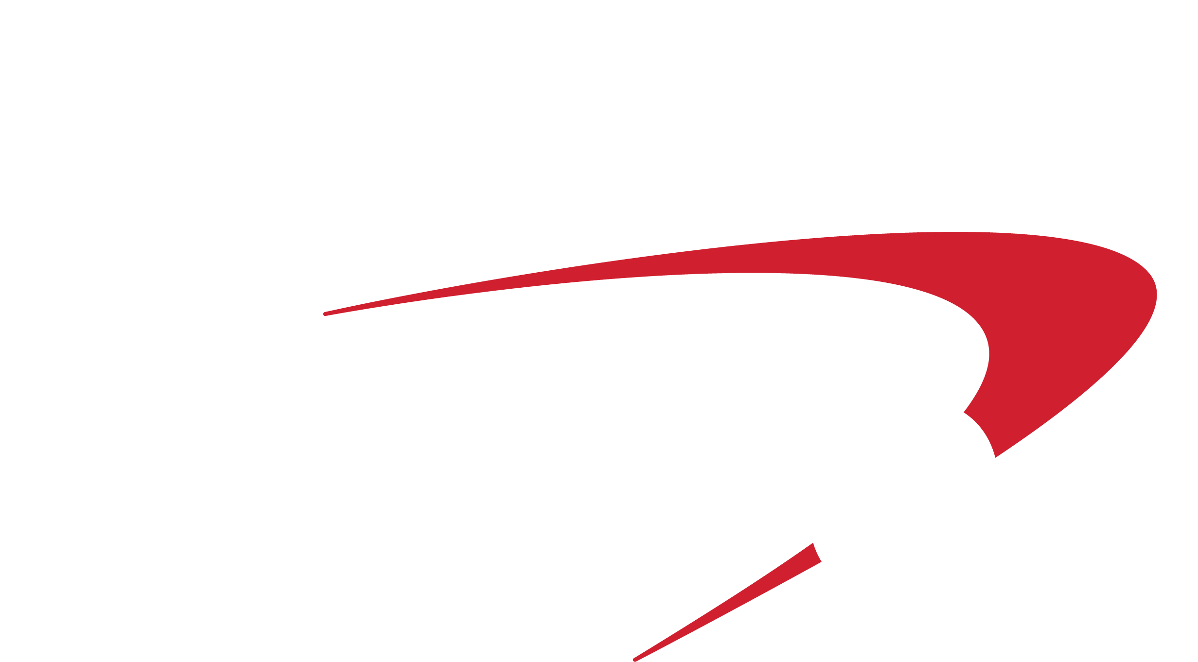 CapitalOne Partner Logo